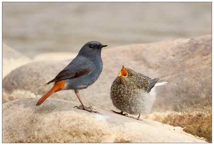 【I 'd never find a love like this】（父爱如山）