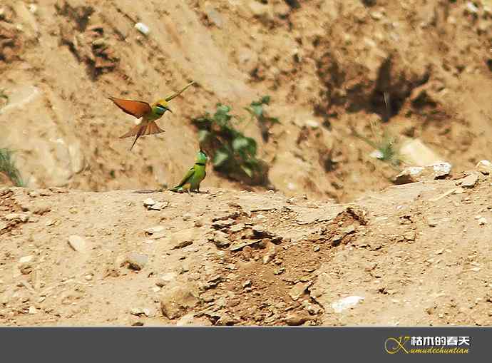 断线的鈥湻珞葩濃敿锹尖溌毯矸浠⑩