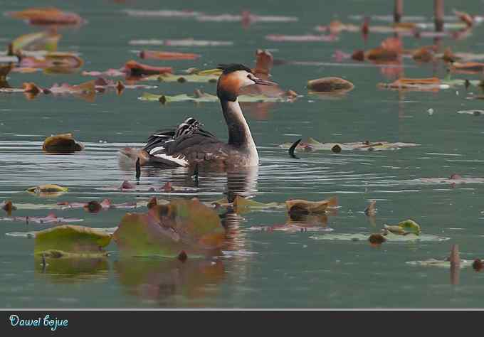 献给含辛茹苦的父母们