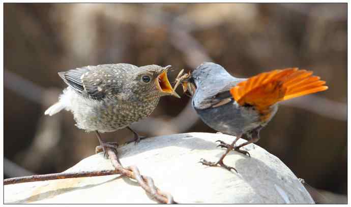 【I 'd never find a love like this】（父爱如山）