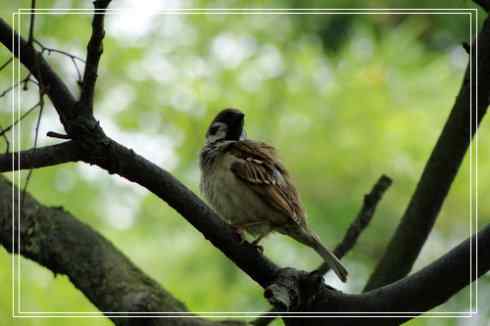 我的大生活之鈥溕隳衿濃2