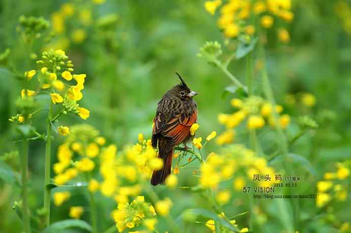 蓦然回首 蓦然回首