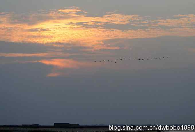 云天鹤影 wbr醉舞冬阳