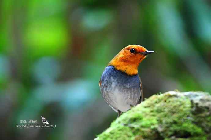 生日的收获鈥斺斎毡靖桊