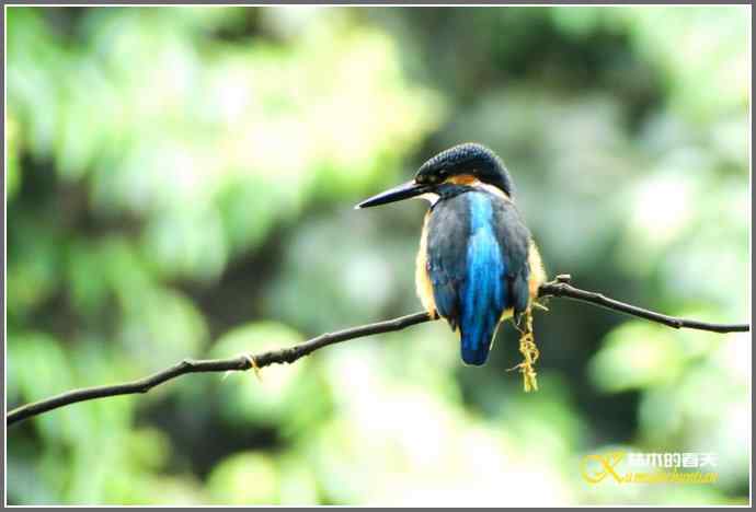 鈥溞〈溻澒槔础菊掌