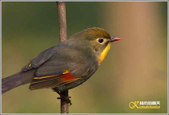 神马都是浮云，健康、快乐才最给力鈥斺斘业2010