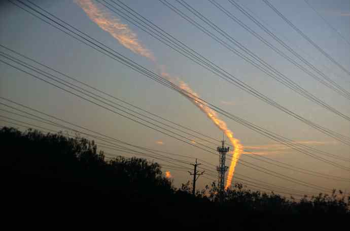 229.打鸟归来收获多多--1.黄眉柳莺等三种鸟