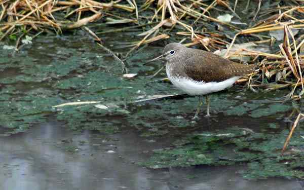 孤独的美丽（组图，17张图片）