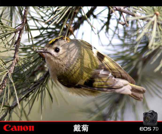 点击图片或使用键盘← →翻页 点击图片或使用键盘← →翻页