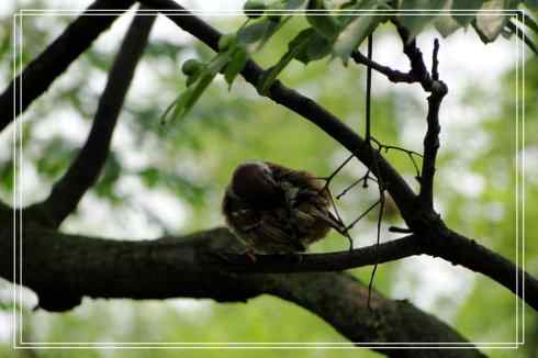 我的大生活之鈥溕隳衿濃2