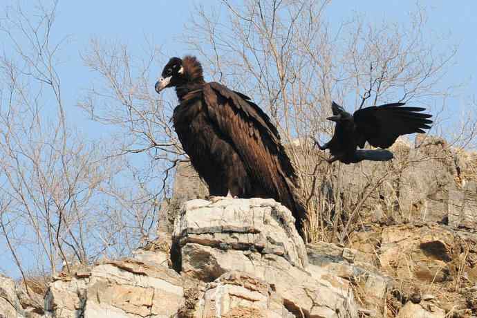 小鬼难缠 wbr鹰雄气短☆ 小鬼难缠 wbr鹰雄气短☆
