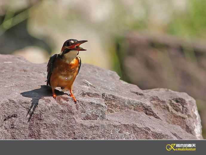 鈥溋宋泡衡澟拟溞〈溻潯臼蹬摹