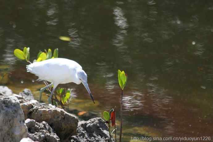 2012 Florida 200 2012 Florida 200