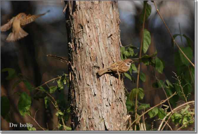 点击图片或使用键盘← →翻页