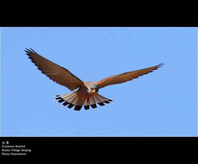 【人间四月天】