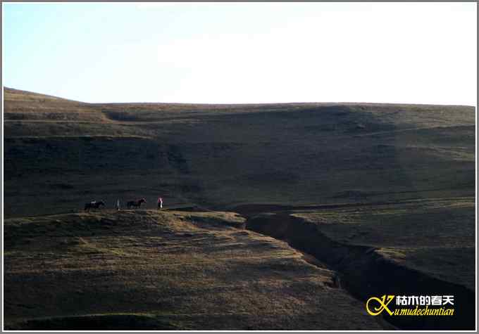 云南大山包鈥敽诰焙椎奶焯谩菊掌