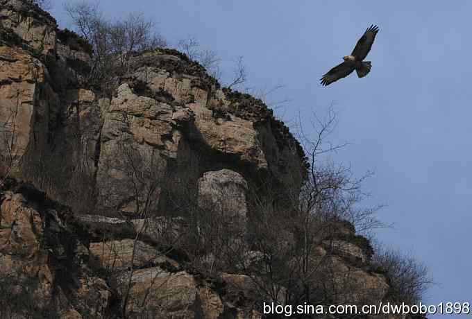 山光悦鸟性 wbr偶心竞翔飞 山光悦鸟性 wbr偶心竞翔飞