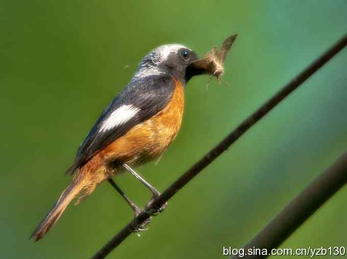 白河峡谷一日游（组图，11张图片）