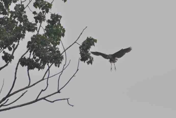 20100505当日总结