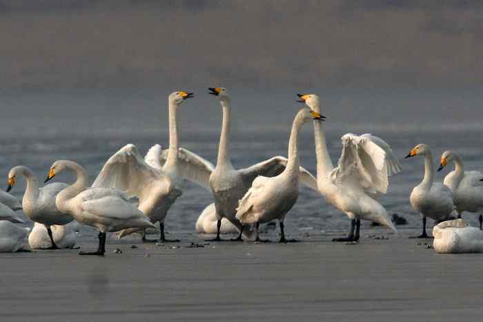 杭州老郑摄影续