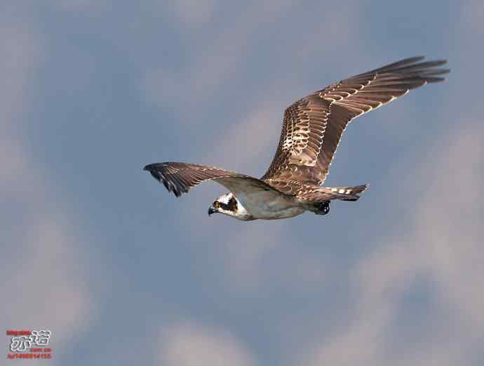 官厅水库 wbr路 wbr金秋十一猛 官厅水库 wbr路 wbr金秋十一猛