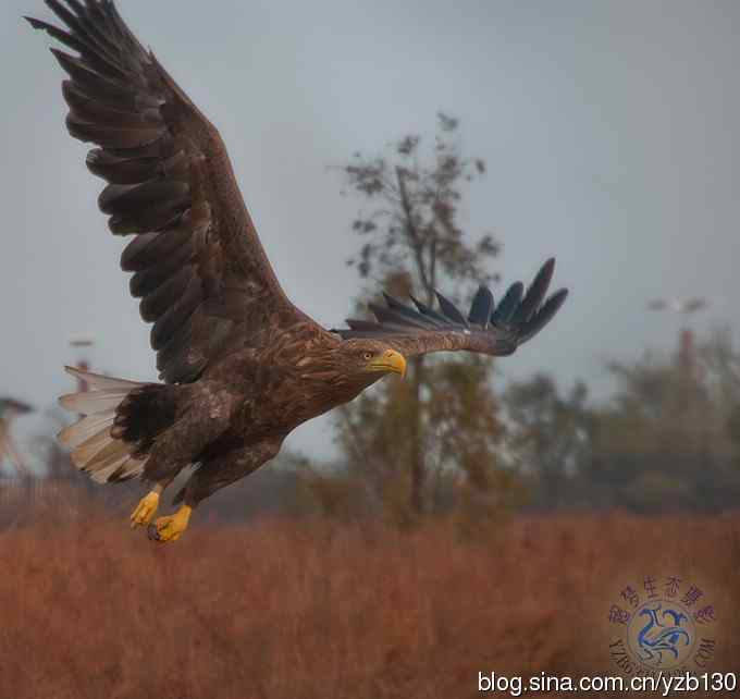 难忘断背山（组图，一个视频，20张图片）