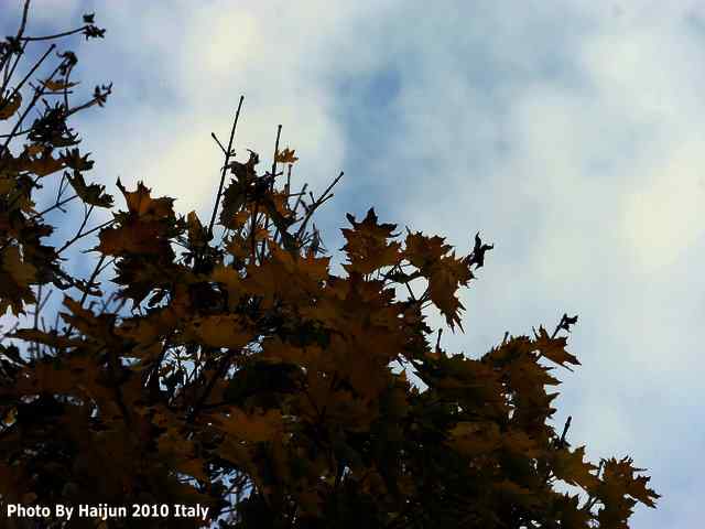 【亚平宁半岛之旅 wbr. wbr疑似洋家雀】