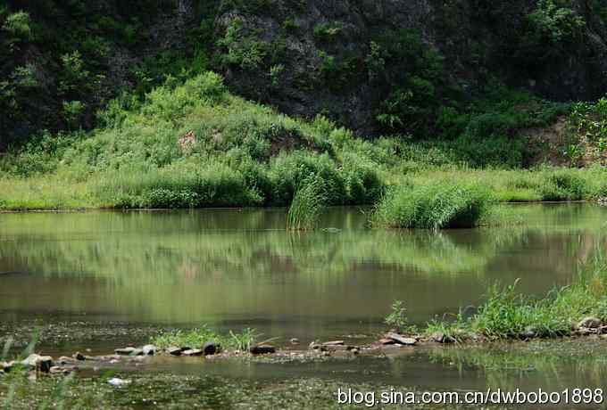 冒酷暑寻拍绿鹭 wbr长途奔袭古北口