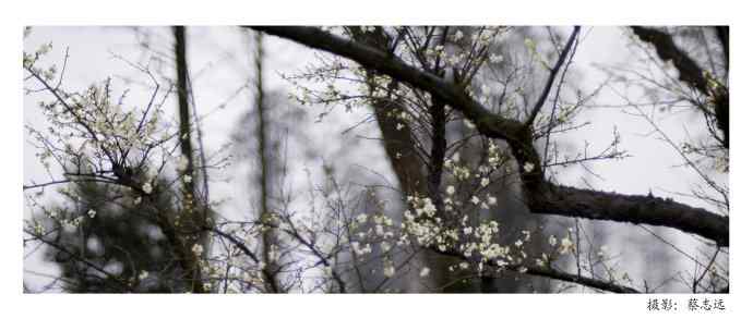 迷恋尼康20mm/2.8D定焦镜头的日子