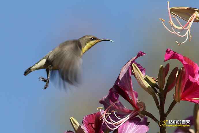 美丽邂逅鈥斺斪仙勰