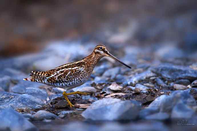 轻寒薄暖，再上川西