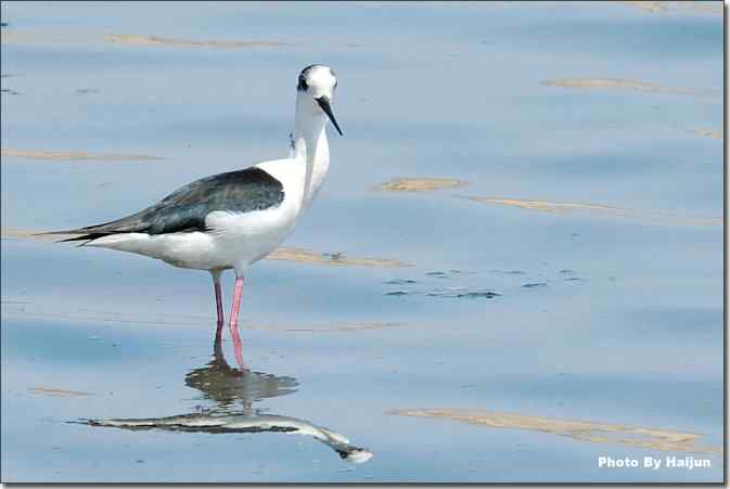  点击图片或使用键盘← →翻页