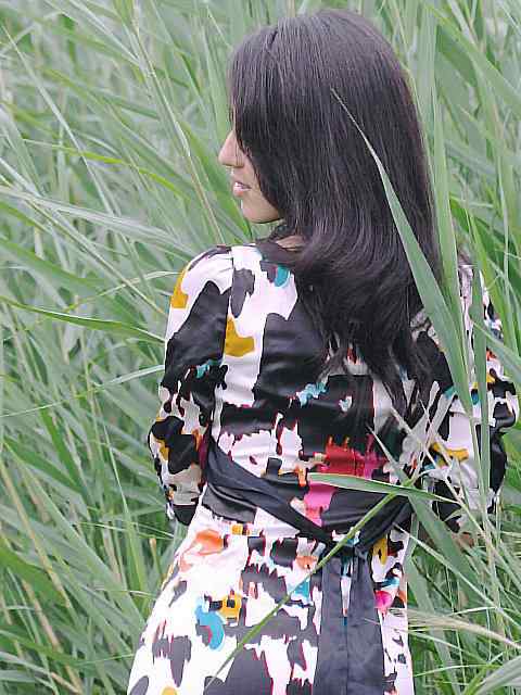 东方之莺鈥斺斀渑慕械降 东方之莺鈥斺斀渑慕械降