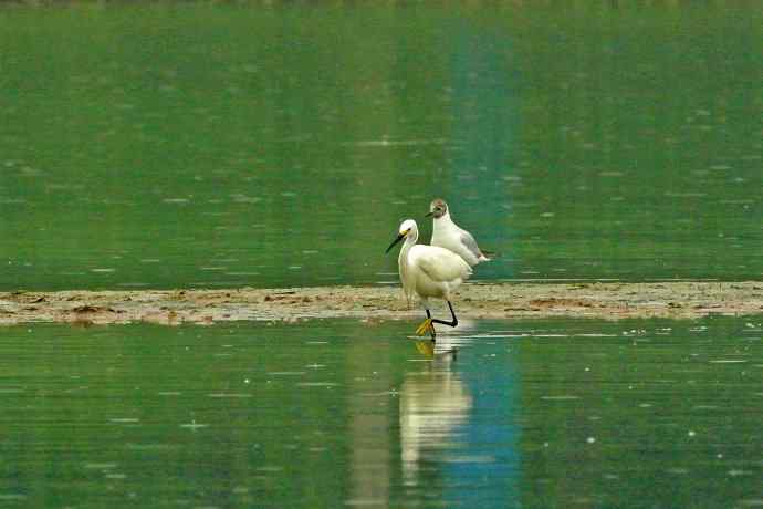 和谐 wbr wbr记录版 wbr wbr（2）