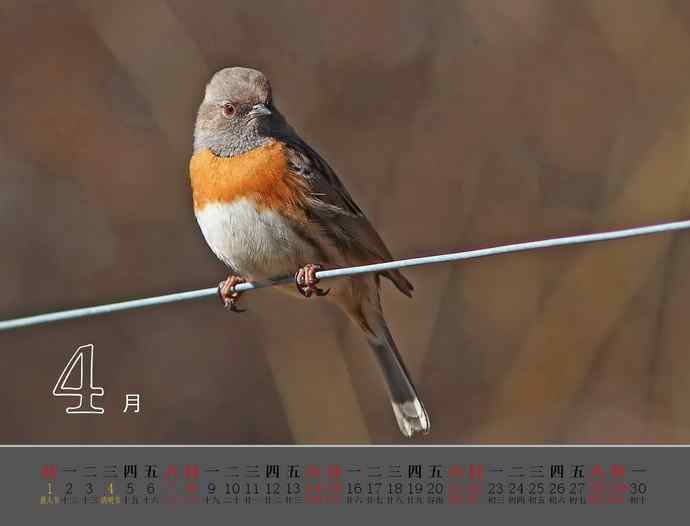 珍惜生命中的每一天-献给我的2012【图】