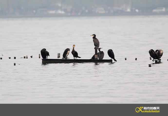 远摄鈥滒叼蒜潯臼蹬摹