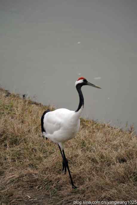 晚秋寻美 wbr wbr3