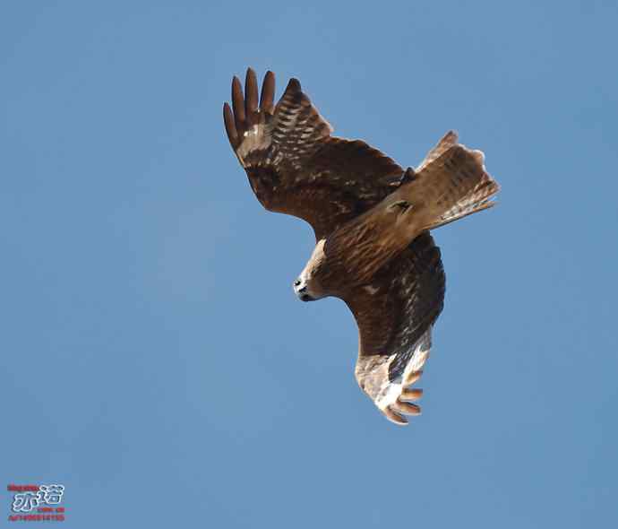 官厅水库 wbr路 wbr金秋十一猛 官厅水库 wbr路 wbr金秋十一猛