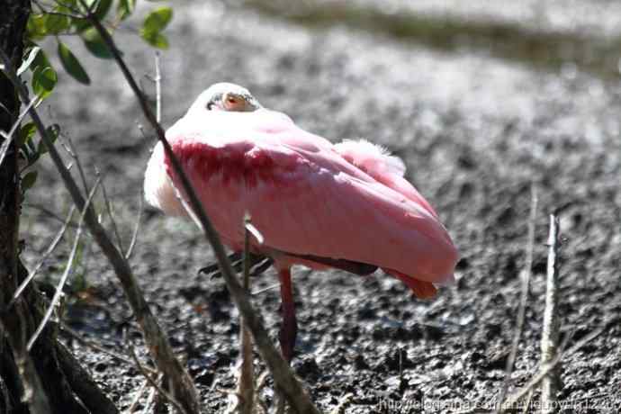 2012 Florida 204 2012 Florida 204