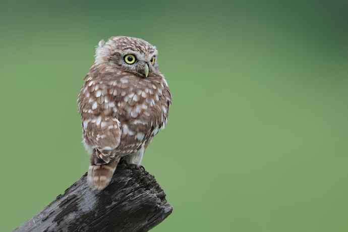 赏图鈥斺斕嵘诤奈幕