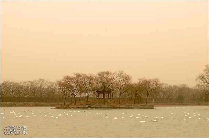  点击图片或使用键盘← →翻页