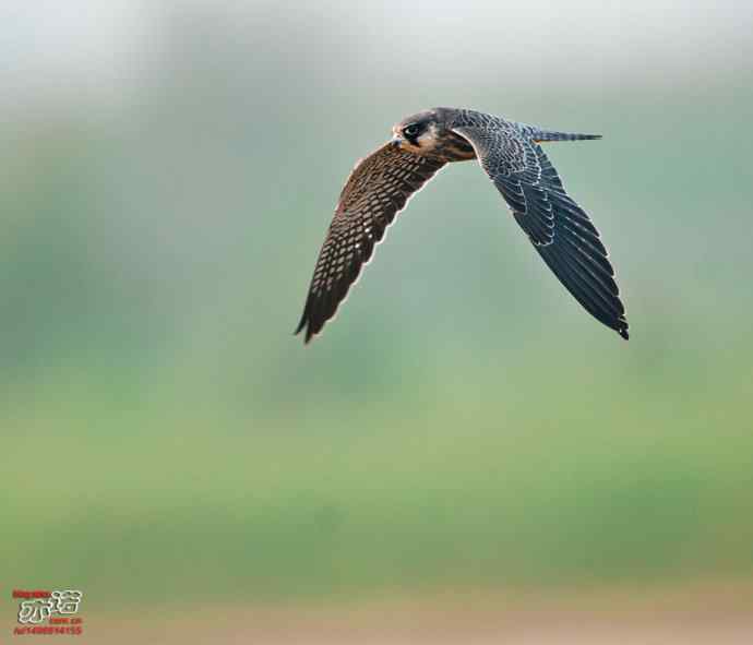 官厅水库 wbr路 wbr金秋十一猛 官厅水库 wbr路 wbr金秋十一猛