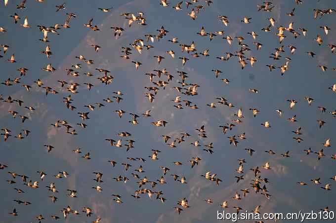 今日野鸭湖鈥斺敶筇於欤ㄗ橥迹20张图片）