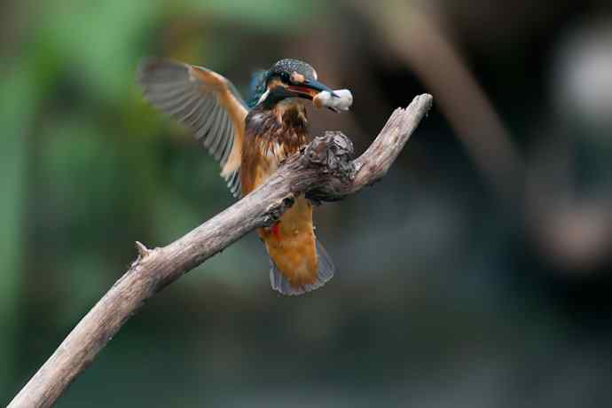 翠二小的渔家功☆