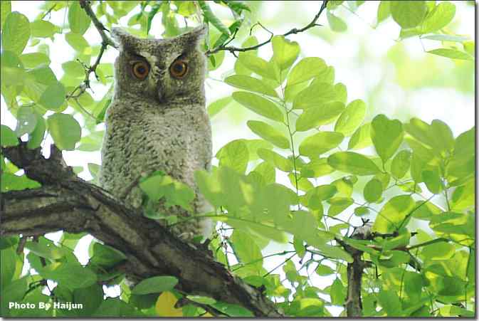  点击图片或使用键盘← →翻页