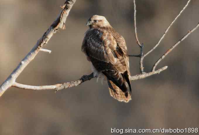 岁末再访白河峡谷 岁末再访白河峡谷
