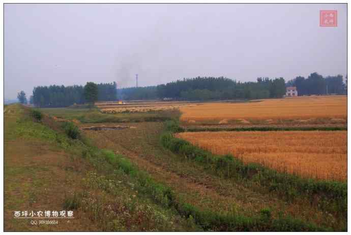 随州厥水河 随州厥水河
