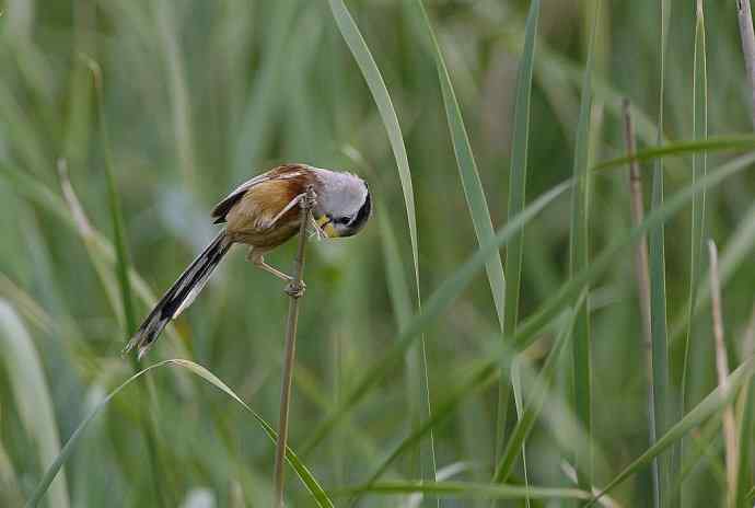 震旦鈥斺斁灾泄
