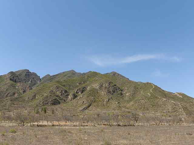 野鸭湖拍摄纪实(牛背鹭黄鹡鸰长脚鹬)