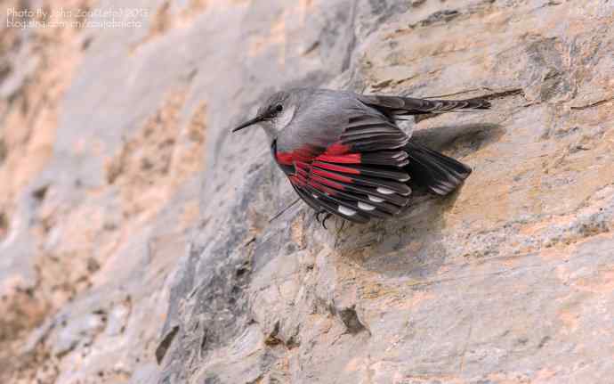 2013年第一拍的好头彩鈥斺敽斐嵝谌 2013年第一拍的好头彩鈥斺敽斐嵝谌